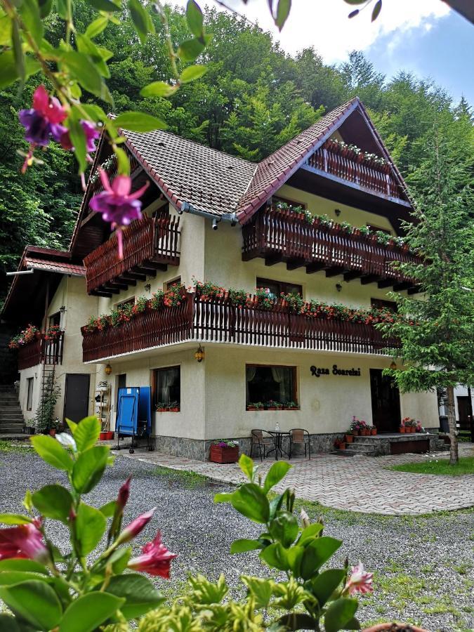 Raza Soarelui Hotel Moeciu De Sus Exterior photo