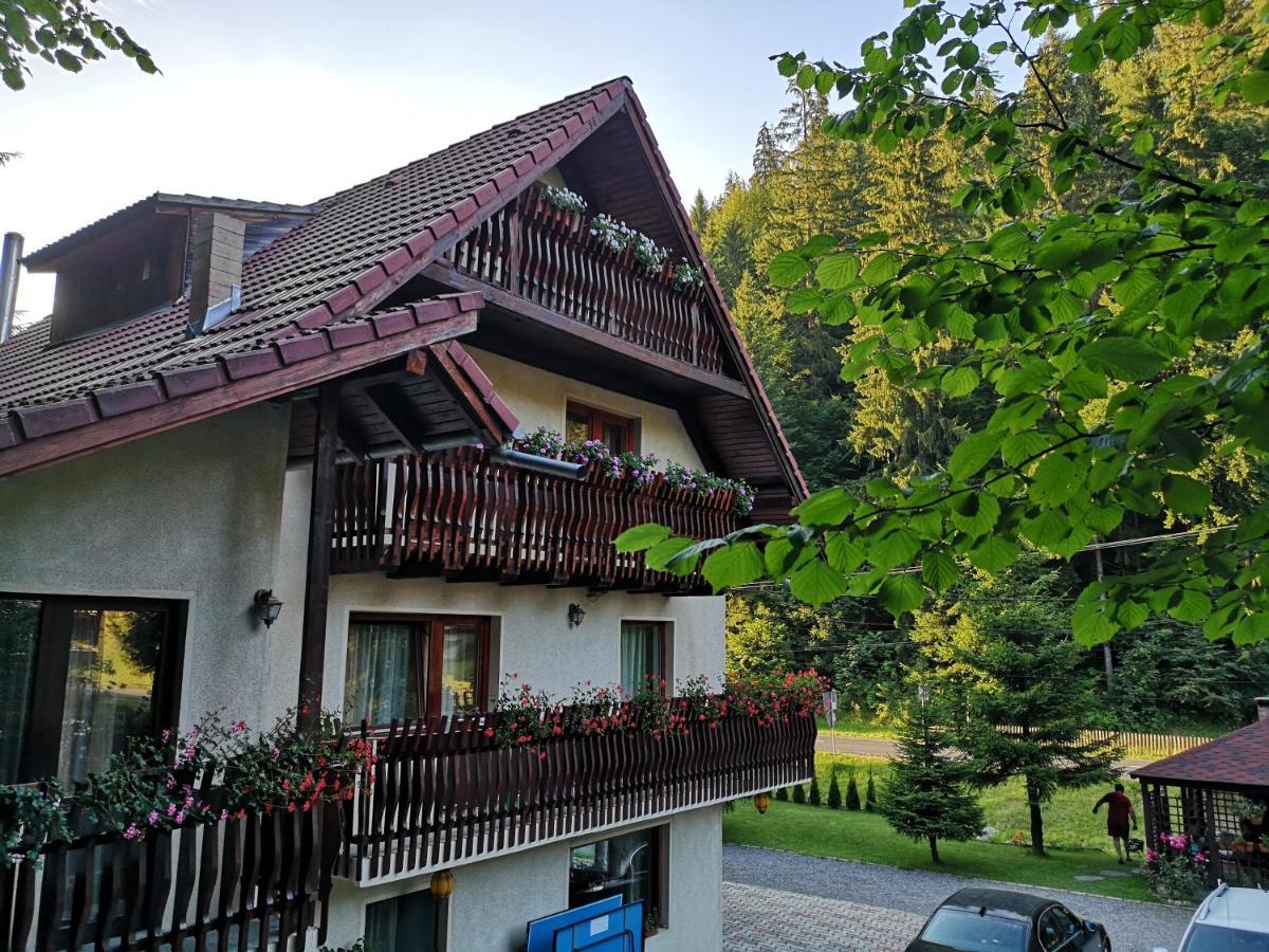 Raza Soarelui Hotel Moeciu De Sus Exterior photo