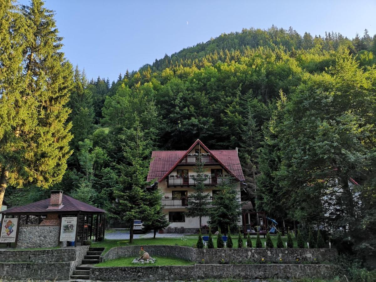 Raza Soarelui Hotel Moeciu De Sus Exterior photo