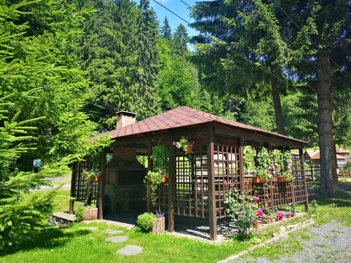 Raza Soarelui Hotel Moeciu De Sus Exterior photo